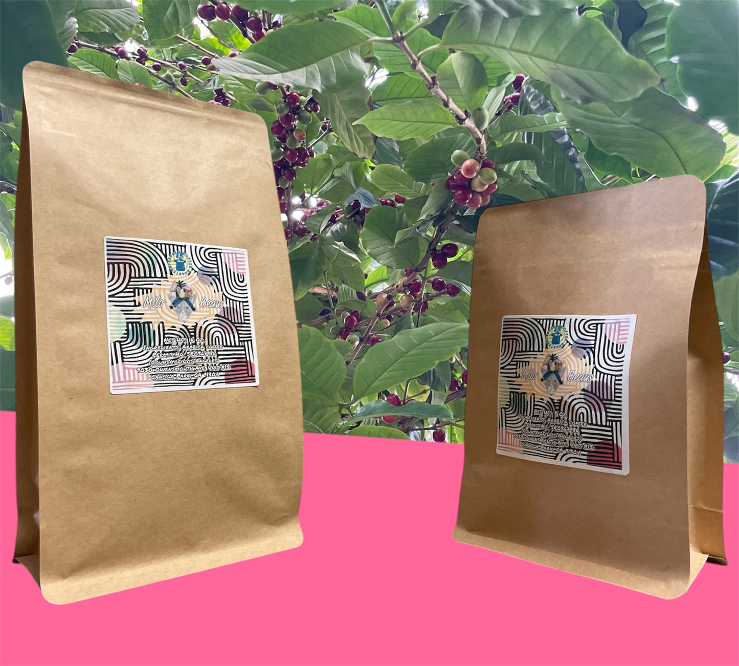 (Pre-Order) Milo Beans