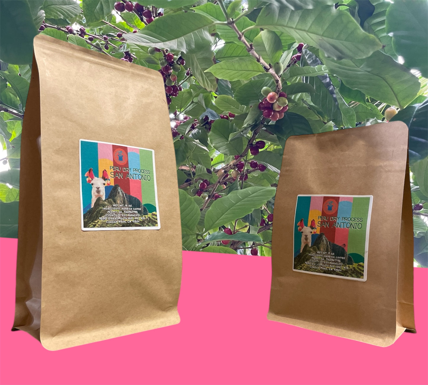 Peru Dry Process San Antonio