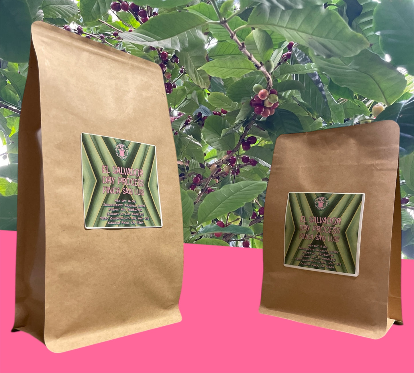 El Salvador Dry Process Finca San Luis
