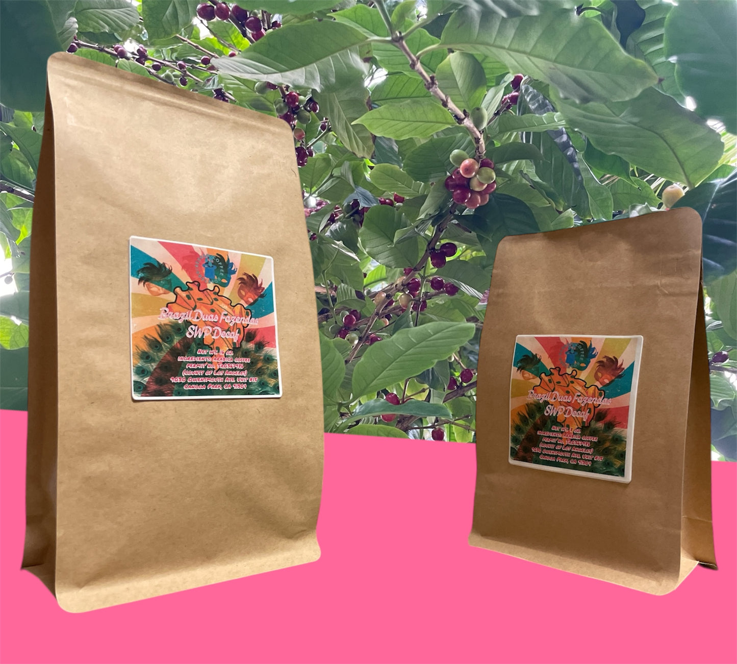 Brazil Duas Fazendas SWP Decaf