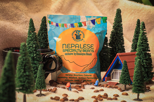 Nepal Washed Process by Himalayan Blends