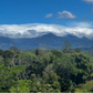 Tierra Blanca Plantation Panama Geisha