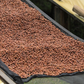 Rwanda Dry Process Karongi Gitesi